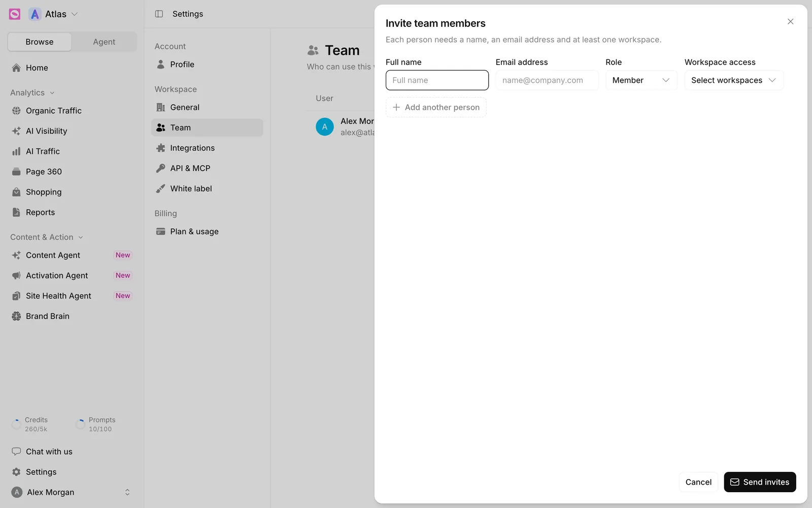 Invite team members panel with Full name, Email address, Role and Workspace access fields