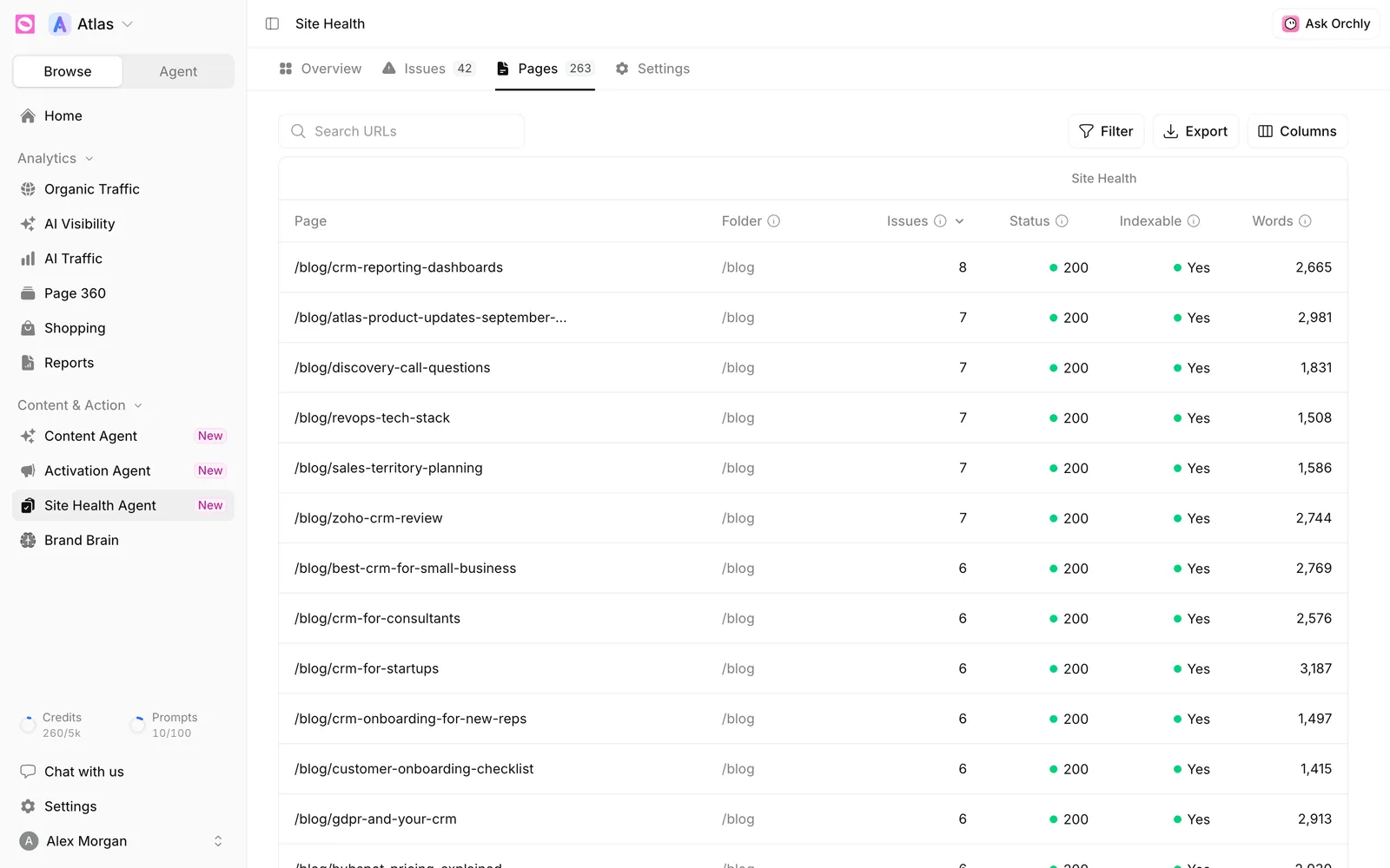 Site Health Pages tab listing blog URLs with folder, issue count, HTTP status 200, indexable Yes and word count